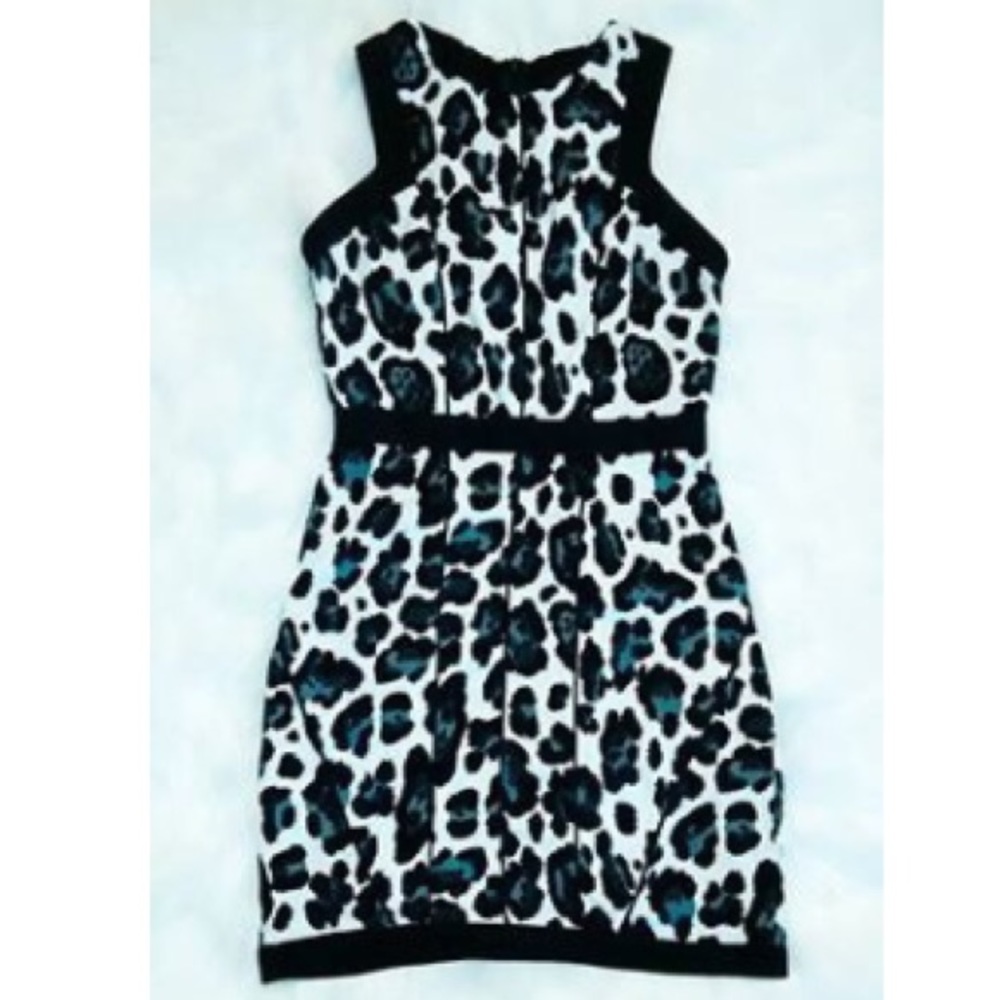Animal print dress.